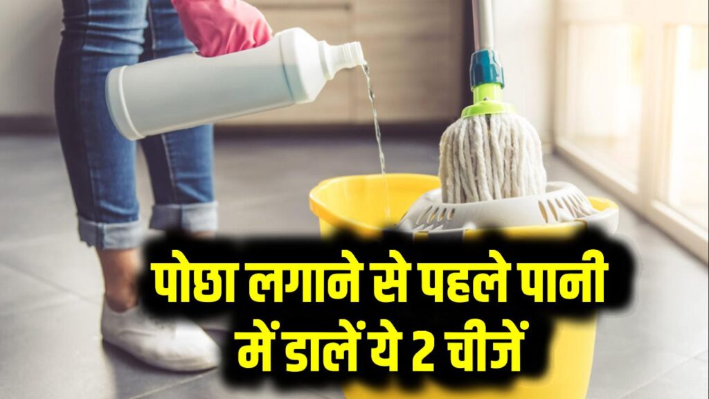 Cleaning Hacks: पोछा लगाने से पहले पानी में डालें ये 2 चीजें, घर से गायब होंगे कीड़े-मकोड़े-कॉकरोच
