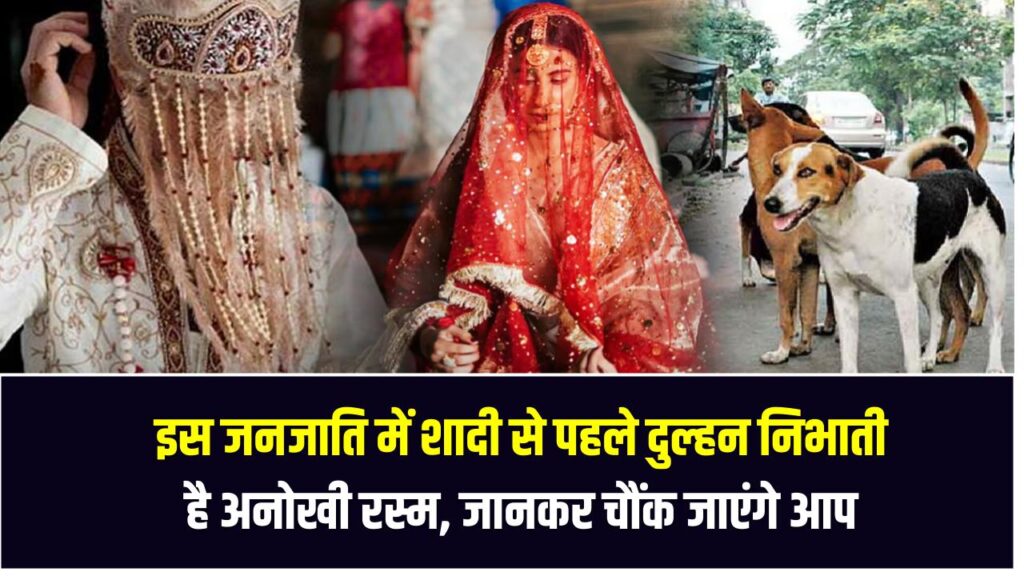 इस जनजाति में शादी से पहले दुल्हन निभाती है अनोखी रस्म, जानकर चौंक जाएंगे आप Tujia Tribe Wedding